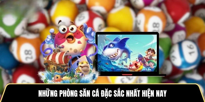 Những phòng săn cá đặc sắc nhất hiện nay