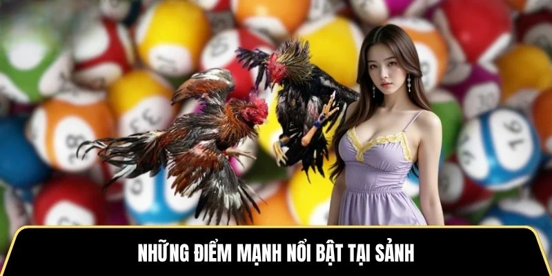 Những điểm mạnh nổi bật tại sảnh